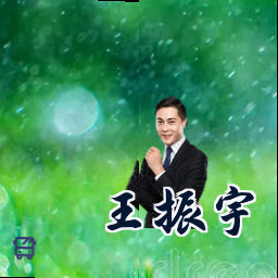 王振宇